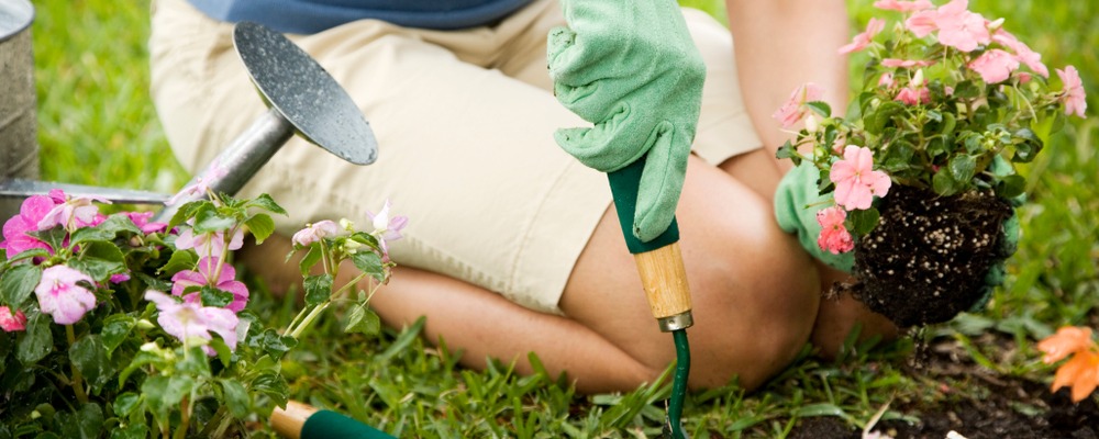 Planting Flowers